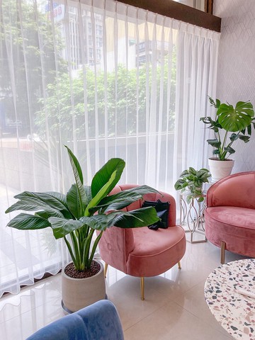 【商業空間綠化設計】精油香氛SPA | 輕奢異國風格