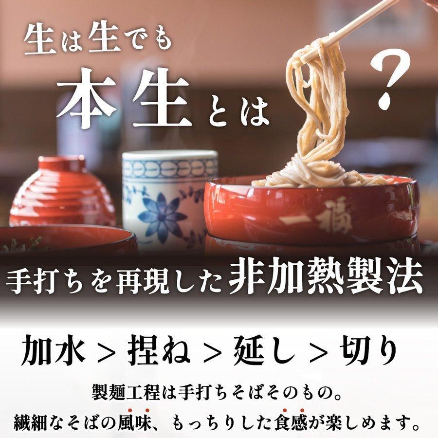 出雲そば 奥出雲本生そば10人前 詰合せギフト そばギフト つゆ付き お取り寄せ グルメ