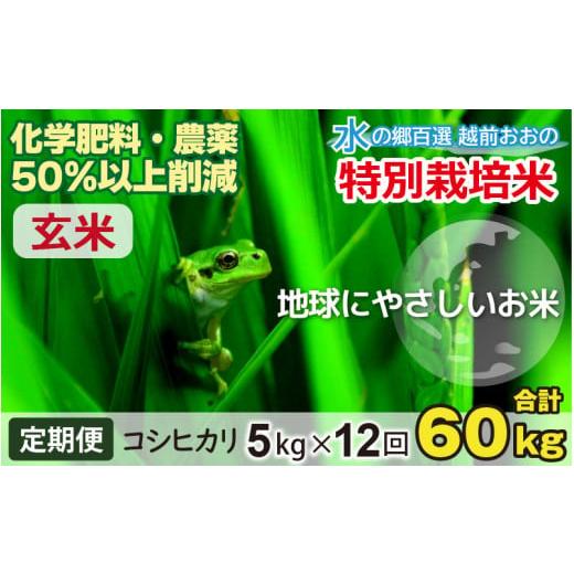 ふるさと納税 福井県 大野市 こしひかり 5kg × 12回 計 60kg減農薬・減化学肥料 「特別栽培米」−地球にやさしい…