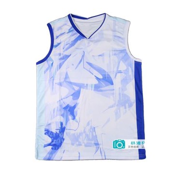 馬來西亞隊大賽款速干排汗透氣男款羽毛球服短袖背心比賽服