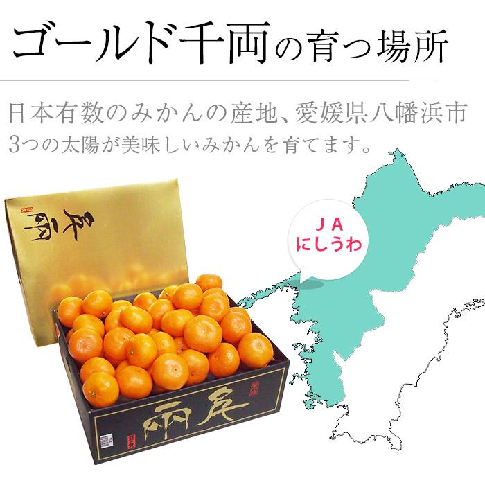 高級みかん 愛媛県産 ゴールド千両 日の丸みかん 特秀品 約5kg M〜Lサイズ 40〜50個 JA西宇和協賛