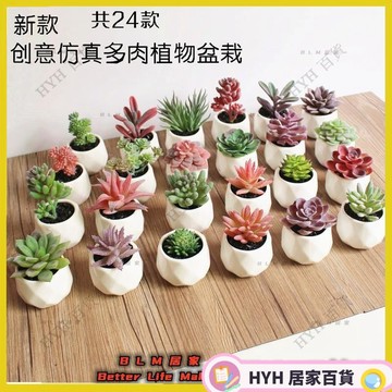 假花多肉盆景 [多肉+花盆] 創意擺件人造花 仿真花盆栽 園藝盆栽 盆栽 花卉盆栽 假綠植HYH07