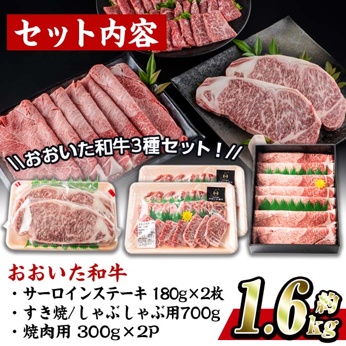 おおいた 和牛 3種 セット (合計1.66kg・サーロインステーキ180g×2枚・ウデ肉700g・焼肉300g×2P) 国産 豊後牛 BBQ 赤身 バーベキュー 惣菜 やきにく おかず 百年の恵み 