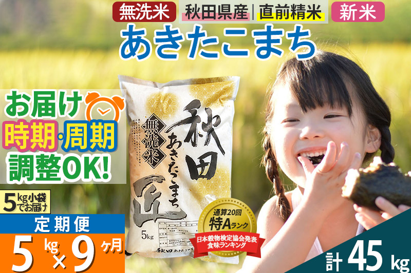 ＜新米＞《定期便9ヶ月》秋田県産 あきたこまち 5kg (5kg×1袋) ×9回 令和5年産 発送時期が選べる 周期調整OK 隔月配送OK お米|02_snk-030309