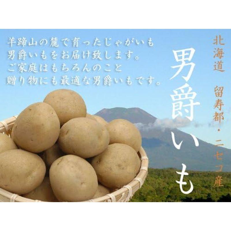 男爵いも 10kg (サイズ無選別 B品) 北海道産じゃがいも 北海道留寿都 ニセコ産他