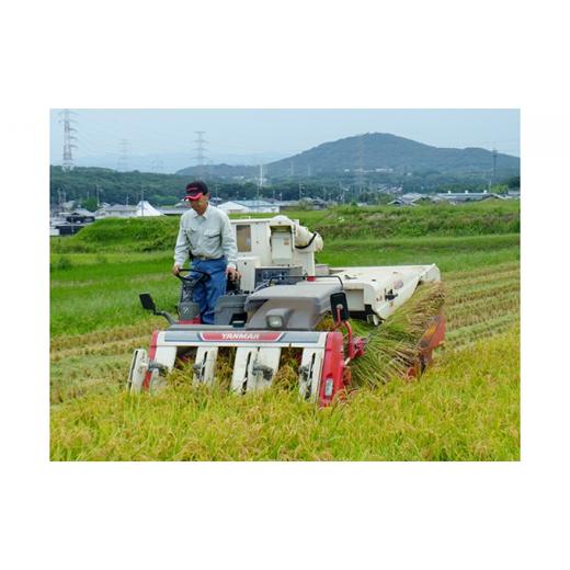 ふるさと納税 兵庫県 稲美町 定期便 稲美金賞農家 藤本勝彦さんのミルキークイーン玄米5kg《12ヶ月連続お届け》