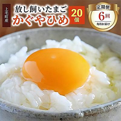 ふるさと納税 上毛町 放し飼いたまご『かぐやひめ』20個 全6回