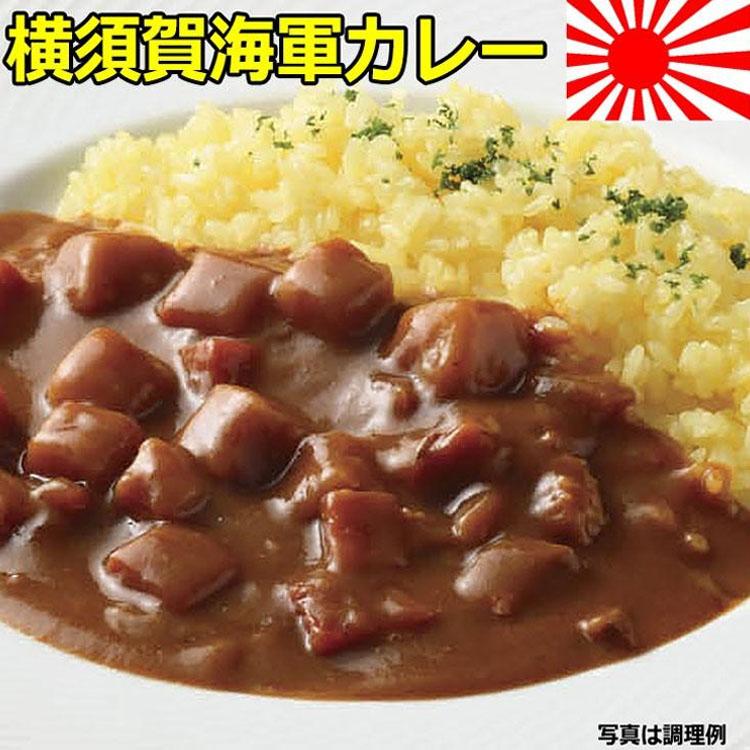 ギフト 2023 お歳暮 惣菜 横須賀海軍 レトルト カレー 10食 詰め合わせ