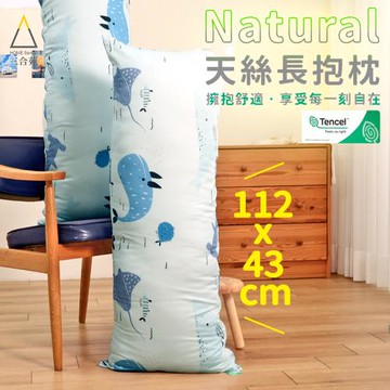 【三合苑】100%純天絲長抱枕 日本JIS抗菌 可水洗 台灣製 43x112cm 交換禮物 天絲抱枕