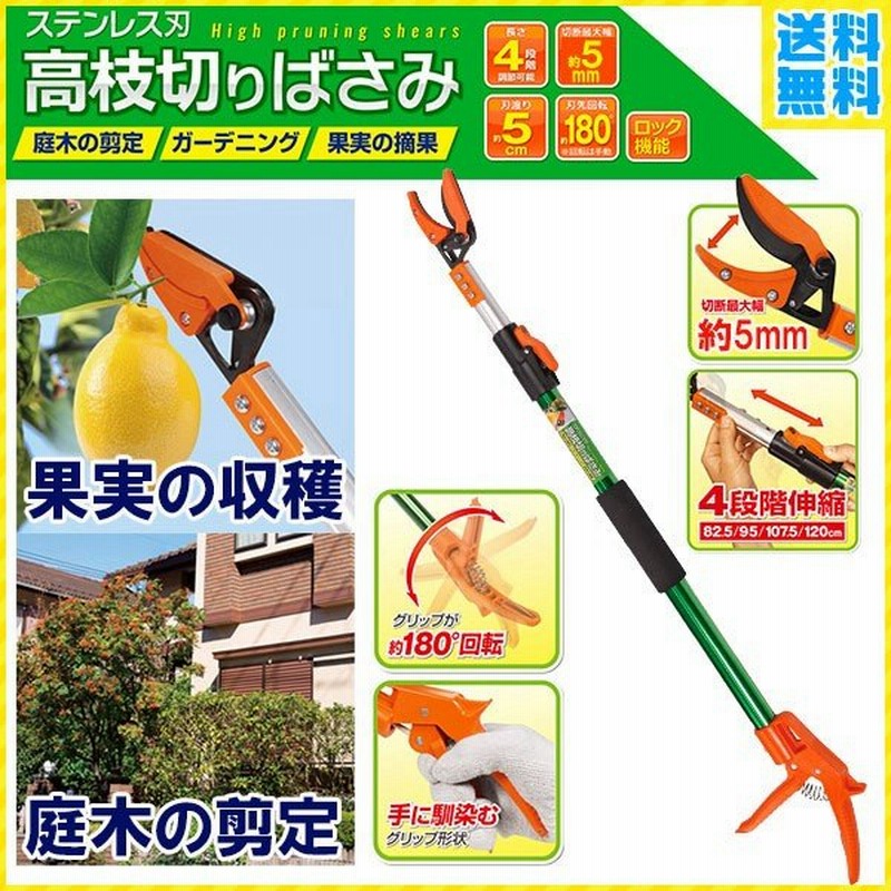 枝切り鋏 伸縮 軽量 剪定 庭木 植木 高所 アルミ 剪定ばさみ 枝切りばさみ 高枝鋏 ガーデニング ハサミ 庭 枝 園芸 切断 果樹 お手入れ 通販 LINEポイント最大0.5%GET | LINEショッピング 枝切り鋏 伸縮 軽量 剪定 庭木 植木 高所 アルミ 剪定ばさみ 枝切りばさみ 高枝鋏 ガーデニング ハサミ 庭 枝 園芸 切断 果樹 お手入れ 通販 LINEポイント最大0.5%GET | LINEショッピング