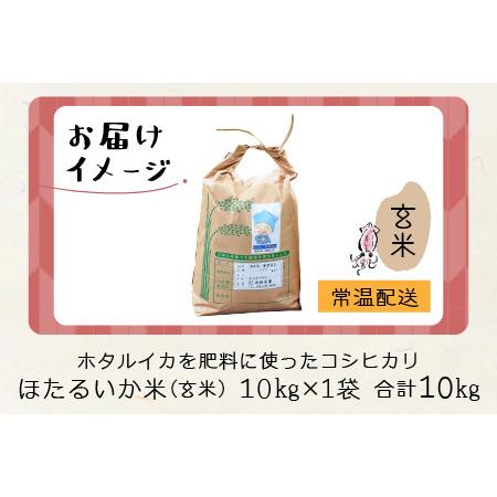 ふるさと納税 ほたるいか米（新米 玄米１０kg） 富山県滑川市