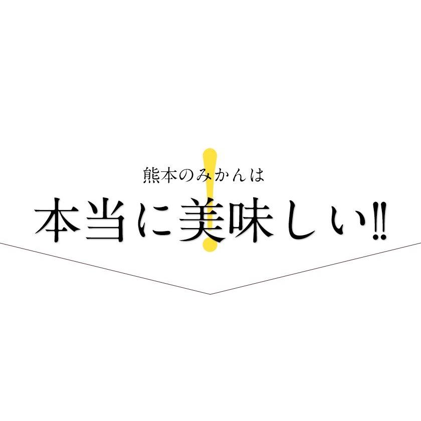 熊本県産 みかん 厳選 ドライみかん 100g ドライフルーツ 送料無料 国産 ポイント消化  7-14営業日以内に出荷予定(土日祝日除く)