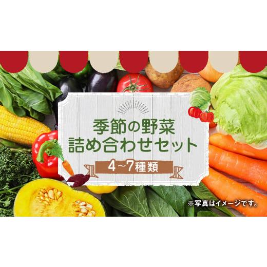 ふるさと納税 熊本県 益城町 季節の野菜 詰め合わせ セット 4〜7種 旬の野菜 季節 野菜