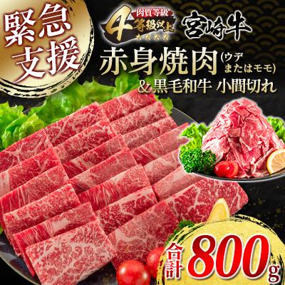 ふるさと納税 日南市 宮崎牛赤身焼肉(ウデまたはモモ)黒毛和牛小間切れ