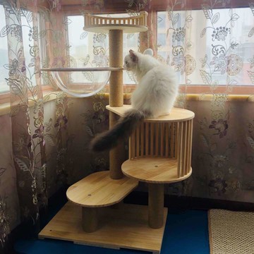 免運 貓跳台 貓爬架 貓爬架實木小型貓窩貓樹一體太空艙自制多層木質貓咪跳臺爬貓架子 可開發票