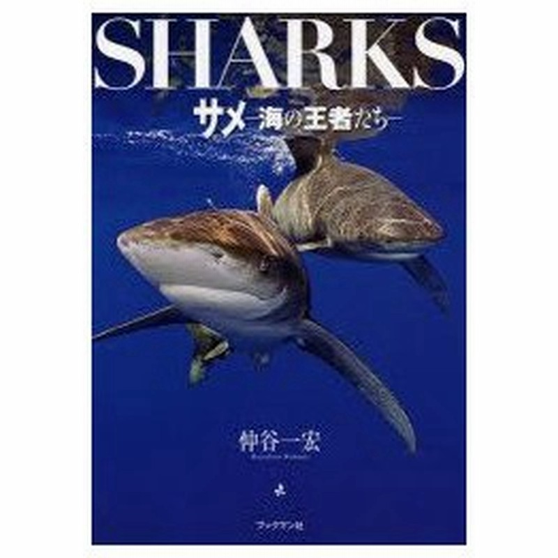 新品本 サメ 海の王者たち 仲谷一宏 著 通販 Lineポイント最大0 5 Get Lineショッピング