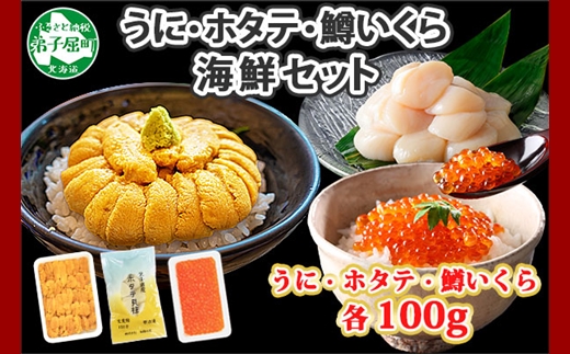 1749. うに チリ産 冷凍 100g 鱒いくら醤油漬け 100g ホタテ 100g セット ウニ 雲丹 いくら イクラ ますいくら ほたて  帆立 海鮮 海鮮丼 三色丼 送料無料 北海道 弟子屈町