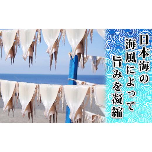 ふるさと納税 青森県 鰺ヶ沢町 生干しイカ２枚(1枚約200g×2枚）、炭火焼きイカ２パックセット　※ ご入金確認後 3ヶ月以内の発送になります。  青森 イカ い…