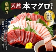 厳選 天然 本マグロ 中トロ 赤身 セット６００ｇ 以上 まぐろ 鮪 100% 冷凍 刺身 海鮮 丼 室戸