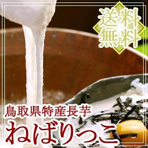 鳥取県北栄町特産 砂丘長いも「ねばりっこ」約2kg（2〜3本入） ご贈答用 送料無料（北海道・沖縄を除く）