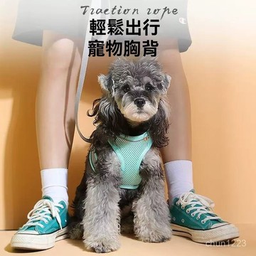 台灣隔日達 貓咪牽引繩 防掙脫背心式透氣反光寵物胸背帶小型犬遛貓牽引繩 貓胸背帶 狗胸背帶 貓牽繩 胸背帶 遛狗 遛貓繩
