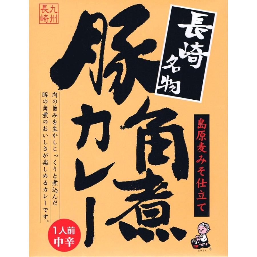 長崎名物 豚角煮カレー　ご当地カレー 長崎県ご当地レトルトカレー