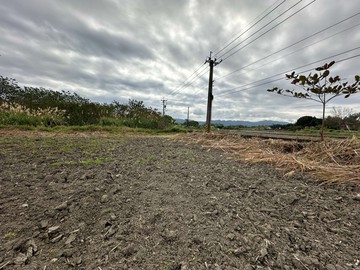 永慶滙玫~ 專任壽豐忠孝都內有機農田美地A.｜花蓮縣壽豐鄉忠孝段