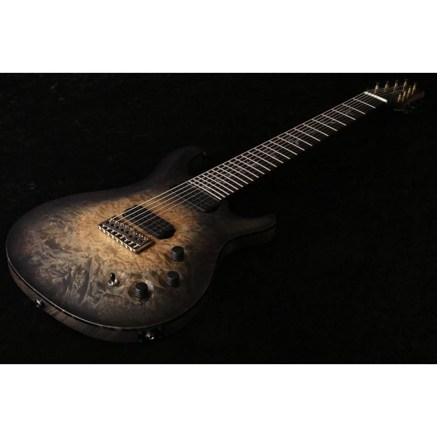 Paul Reed Smith (PRS)   Private Stock #9660 Custom 24 8-String Frostbite Glow(S N:22-335632)(御茶ノ水本店)