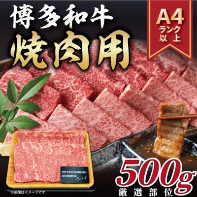 ふるさと納税 直方市 博多和牛焼肉セット 500g(直方市)