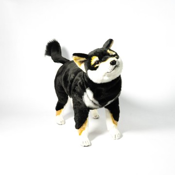 Hansa 7242-黑柴犬站姿  50公分