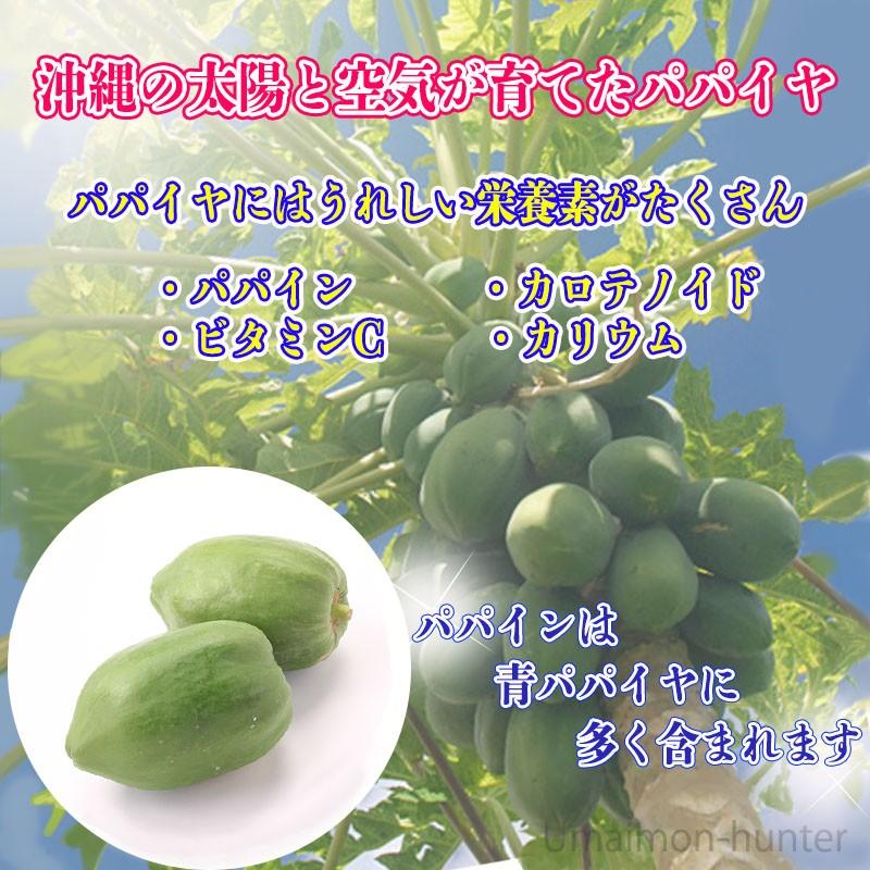 渡具知農園 青パパイヤ 2個（2kg未満）沖縄県産 自家農園栽培 無農薬 野菜 パパイン ポリフェノール ビタミンC スーパーフード