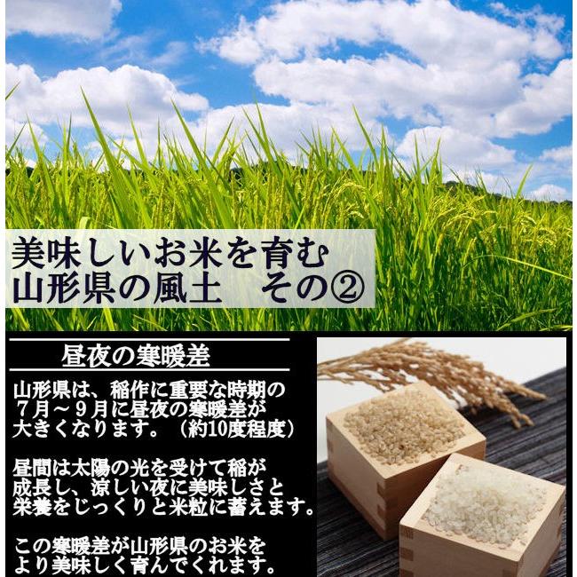 特別栽培米つや姫 （令和5年産）玄米 5kg