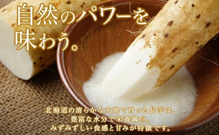 北海道 倶知安町産 長芋 2L×約6本 計5kg 春堀り 芋 ながいも とろろ 新鮮 フレッシュ 野菜 農作物 産直 山芋 麦とろ 山かけ おつまみ グリーンアースファーム 送料無料 北海道 倶知安町