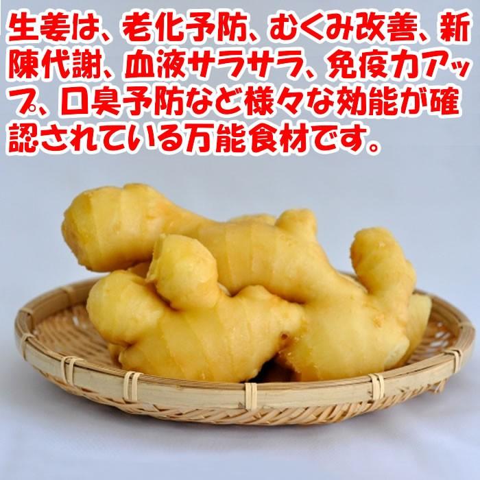 国産本格たまりしょうが漬 250g ふかや物産観光