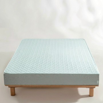 BLUE BIRD BEDDING 青鳥家居 床包式涼感墊  薄荷綠  雙人(186 x 150cm)