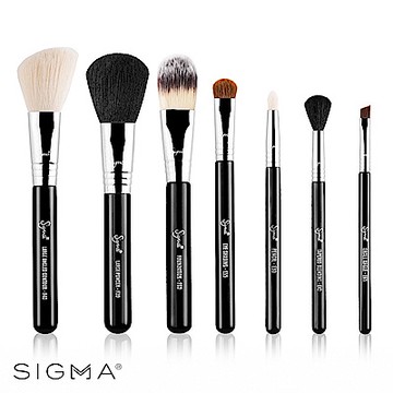 Sigma 刷具7件組(含刷具筒) Essential Travel Brush Set