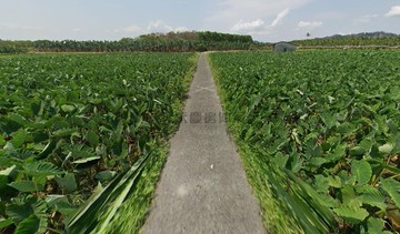 屏東高樹#遠離塵囂#視野廣闊~休閒農地07417｜屏東縣高樹鄉三王段