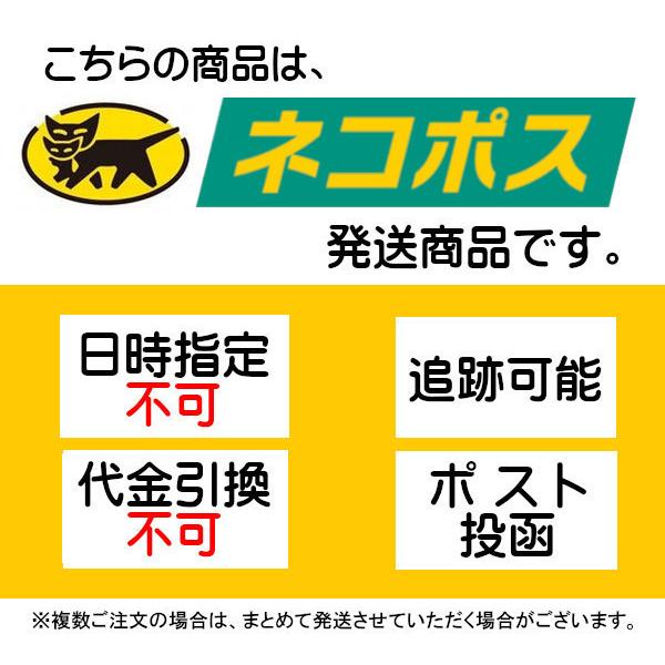 秋田 稲庭城下 そうめん 300g 2袋 送料無料