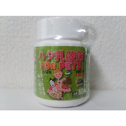 ハタ乳酸菌 ＦＯＲ ＰＥＴＳ ６０ｇ （ペット用）