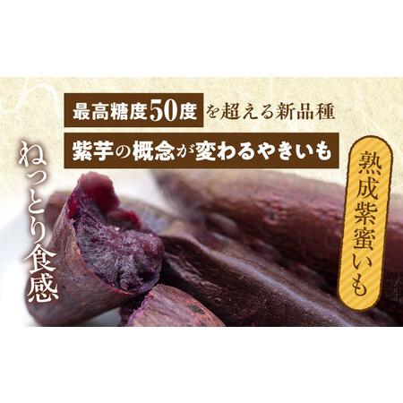 ふるさと納税 熟成やきいも＆熟成紫蜜いもの食べ比べセット1kg 紫芋 新品種 濃厚な甘さ 宮崎県宮崎市