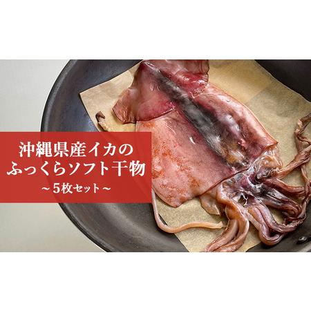 ふるさと納税 イカ 干物 5枚セット 約700g ソフト 干物 ふっくら 海人 漁師 いか トビイカ 美味しい 冷凍 お酒 の おつまみ 海鮮 沖縄 糸満市 ノ.. 沖縄県糸満市