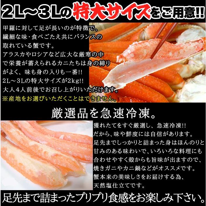 のし対応可 ズワイ蟹足 2kg ずわいがに 特大 ボイル ゆで カニ ギフト 贈り物 お中元 ギフト 御礼 御祝 プレゼント 贈答品 産地直送 お取り寄せ ご褒美