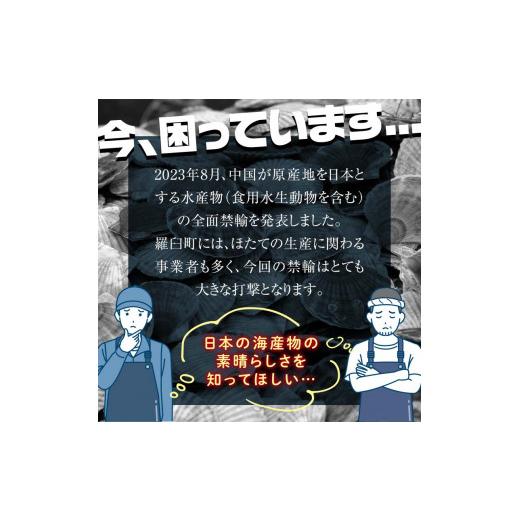 ふるさと納税 北海道 羅臼町 北海道産 訳ありホタテ 1kg(500g×2パック) 3D冷凍 ほたて ホタテ 貝柱 貝 刺身 海鮮丼 米 羅臼町 北海道 海鮮 セット 生産者 支…