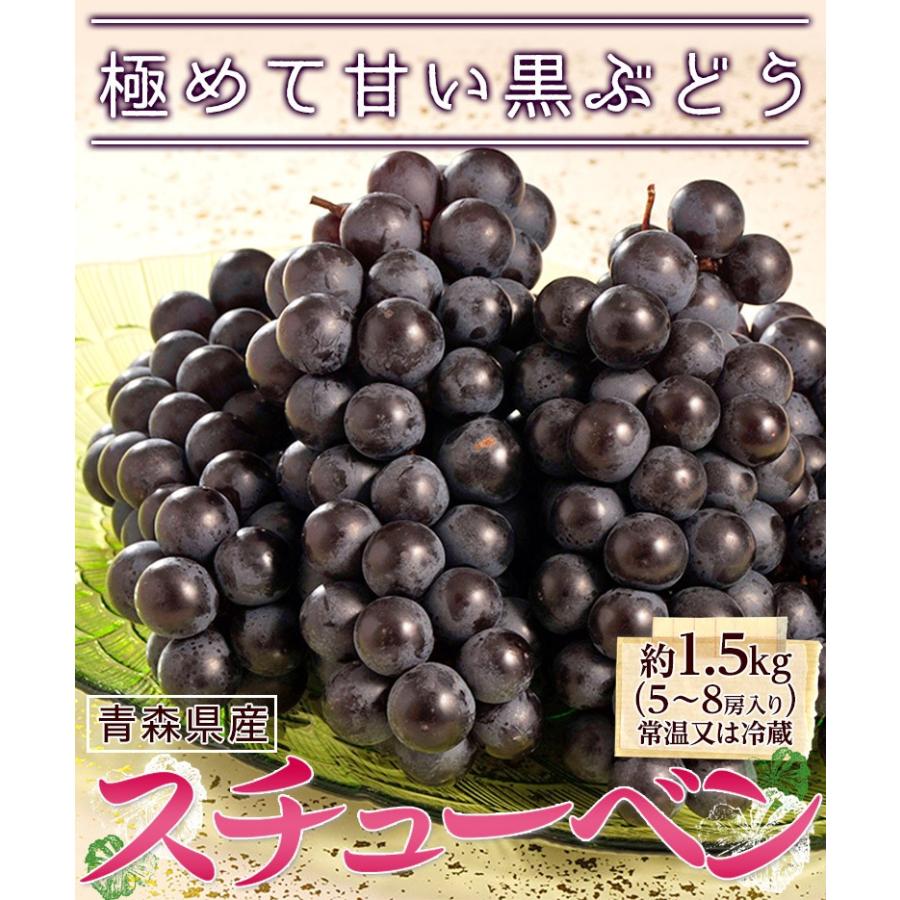 黒ぶどう 『スチューベン』青森県産　約1.5kg（5〜8房 ）※常温又は冷蔵 送料無料