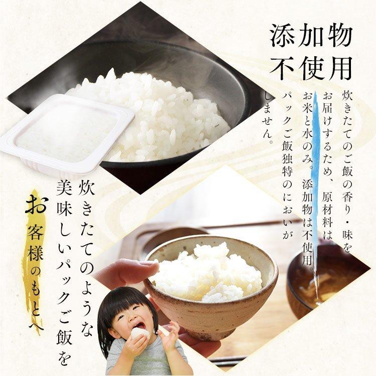 パックご飯 レトルトご飯 ごはん パック ごはんパック レンジ 40食 180g×40食パック アイリスフーズ 包装米飯