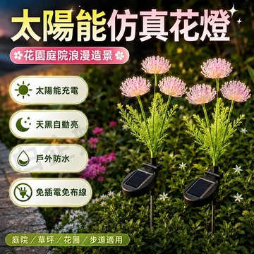 台灣現貨🌞太陽能彼岸花燈 粉色花朵彼岸花燈 向陽花燈 太陽能燈 太陽能庭園燈 花園燈 太陽能裝飾燈 太陽能插地燈 草坪燈