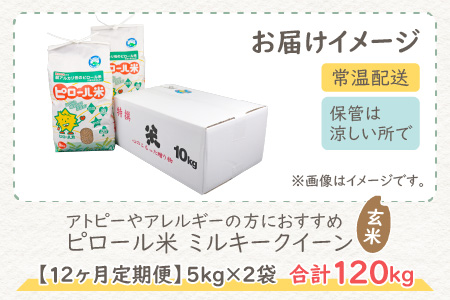 ミネラル豊富！弱アルカリ性のピロール米 ミルキークイーン 玄米 10kg（5kg×2袋）× 12回　計120kg 化学肥料5割以下・減農薬