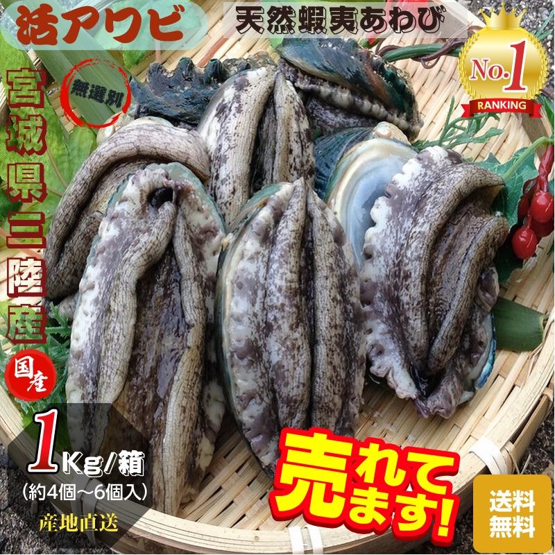 活アワビ 三陸産 天然蝦夷アワビ １Kg 箱 無選別 産地直送 送料無料