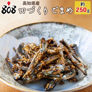 田作り ごまめ 約250g（北海道沖縄別途送料加算）お供に 田作 たづくり たつくり イワシ カタクチ