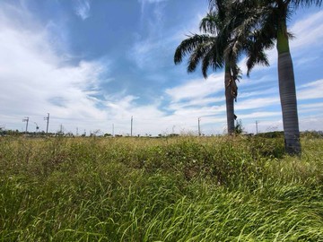 安南區佃北重劃區建地II【N038】｜台南市安南區佃北段